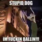 FUCKIGN MUTT!!1! 🧐🥵🥵😡😡😡