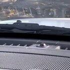 Duck attacks car - Guard Duck