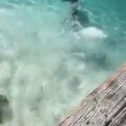 The definition of a gif that ends too soon