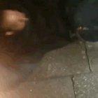 A rollercoaster of emotions and reconciliation in the end