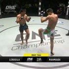 stopped to appreciate the duck