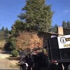 There ain’t nothin’ like spring time in the south!