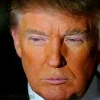 Hahaha Trump loves them