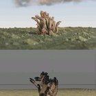 need a.... hand??????? sorry. i'm so sorry. bad pun. generating instances onto a hair sim || C4D OCTANE