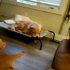 He has no idea what he’s doing