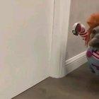 I just saw this and it made my day .