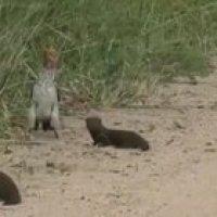 And the Oscar goes to..