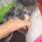 Pump it! Aaaaaaahhhhhhhhhh