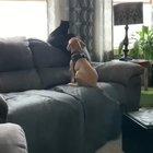 The greatest video ever. That is all.