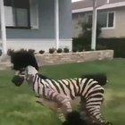 My brain hurt real bad for the first few seconds.