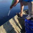 We gonna be eatin good tonight