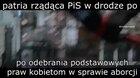 kurde blade nie będę kłamał, pis robi dobrą robote