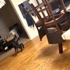 Something is wrong with my cat and I love him for it