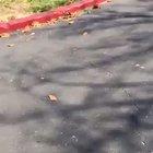 I have literally no words.