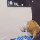 Мама всегда поможет