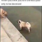 It's not so deeeee-help!