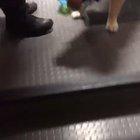 Police Therapy Dog named Ben helped himself from one of the toys donated at the Franklin PD... as far they're concerned the baby is now his