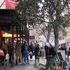 This pigeon jamming along to blurred lines