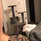 I peaked in terms of laziness last night