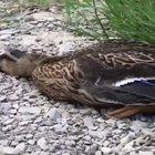 And the Oscar goes to...