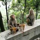 When someone else's kid is acting up