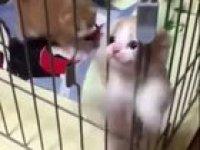 ENCARCELARON A MI PANA MIGUEL