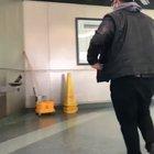 Helping a pigeon work the fountain.