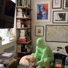 Day 27 of quarantine