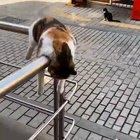 Well that's something new damn