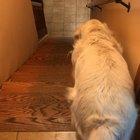 My slinky from the back