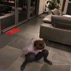 Try it, it's simple.