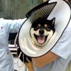 My first prostate exam be like.