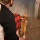 How can you learn this power