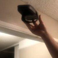 Scaredy Cat vs. Spider