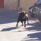 Fuck this random car