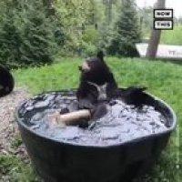 Отдых на море в этом году )