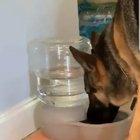 What kind of sorcery is this???