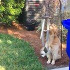 She plays the wind chimes and sings along