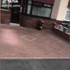 “Your cars rolling”