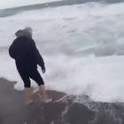 Saving a sea turtle from certain doom