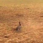 This is why you all hamburger!