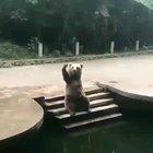 Yooo, pass that. Thanks!