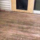 Не сутулые, но собаки!