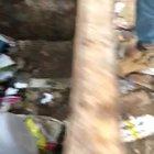 How degenerate and inhuman do you have to be to do something like this?!