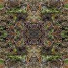 Instagram Censored this so I thought it might be appreciated here