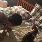 When you perfectly mimick your human