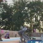 The cat’s face is priceless