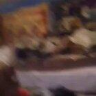 Remember spala-te la pula bai jegosule? This is him now.