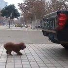 She seems proud of herself