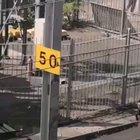 Why we should never give up our right to keep and bear arms!